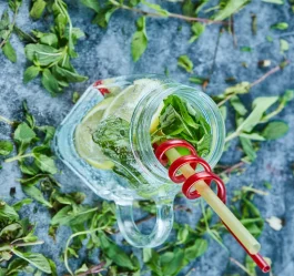 چطور نوشیدنی‌های تابستونی حرفه‌ای درست کنیم؟ (راهنمای کامل + ابزار لازم)