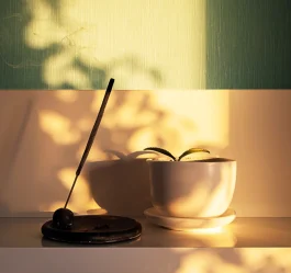 سلامت روان در خانه‌های کوچک؛ چطور آرامش را در فضای محدود حفظ کنیم؟