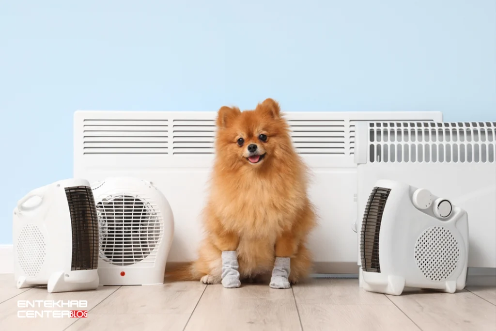 🔧 راهنمای خرید بهترین بخاری برقی و هیتر فن‌دار